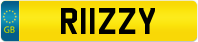 R11ZZY