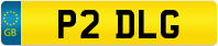 P2 DLG