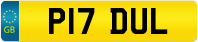 P17 DUL