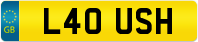 L40 USH