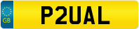 P2UAL