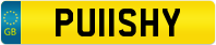 PU11SHY