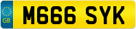 M666 SYK