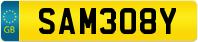 SAM308Y
