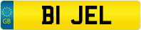 B1 JEL