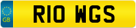 R10 WGS