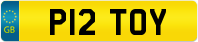 P12 TOY