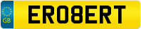 ER08ERT