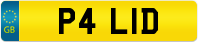 P4 LID