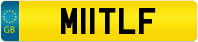 M11TLF