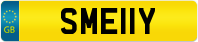 SME11Y