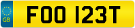 FOO 123T