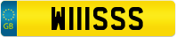 W111SSS