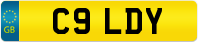 C9 LDY