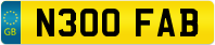N300 FAB
