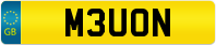 M3UON