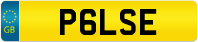 P6LSE