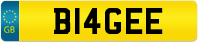BI4GEE