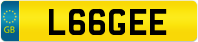 L66GEE