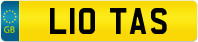 L10 TAS
